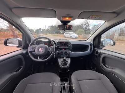 Fiat Panda Cross 1.0 FireFly S&S Hybrid Bianco usata Sannicola