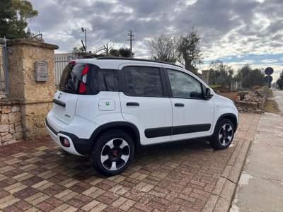 Fiat Panda Cross 1.0 FireFly S&S Hybrid Bianco usata Sannicola