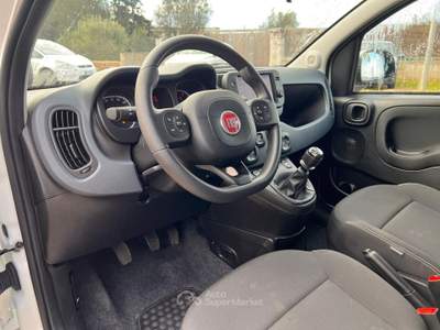 Fiat Panda Cross 1.0 FireFly S&S Hybrid Bianco usata Sannicola