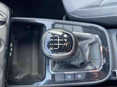 Skoda Fabia 1.0 TSI 95 CV Monte Carlo ADAS Euro6D Grigio usata Fiumicino