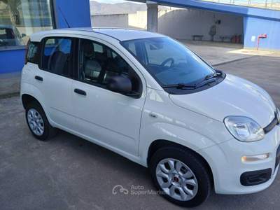 Fiat Panda Fiat Panda 0.9 t.air natural power Easy 80cv Bianco usata SAN MARTINO VALLE CAUDINA