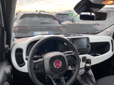 Fiat Panda FIAT PANDA HYDRID PANDINA CROSS 2025 Bianco usata Montesarchio