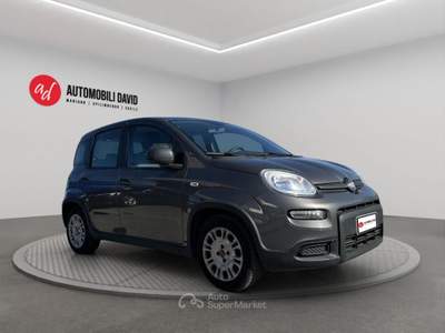 Fiat Panda 1.0 FireFly S&S Hybrid Grigio usata Maniago
