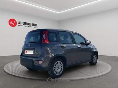 Fiat Panda 1.0 FireFly S&S Hybrid Grigio usata Maniago