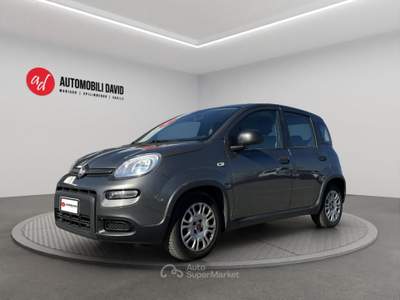 Fiat Panda 1.0 FireFly S&S Hybrid Grigio usata Maniago