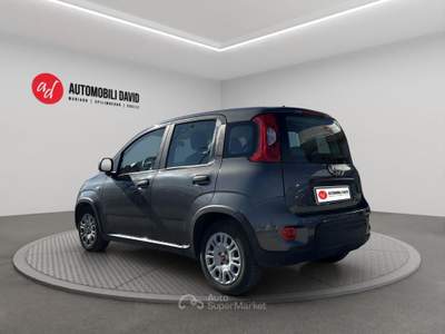 Fiat Panda 1.0 FireFly S&S Hybrid Grigio usata Maniago