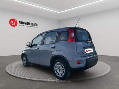 Fiat Panda 1.0 FireFly S&S Hybrid Grigio usata Maniago