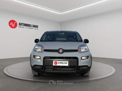 Fiat Panda 1.0 FireFly S&S Hybrid Grigio usata Maniago