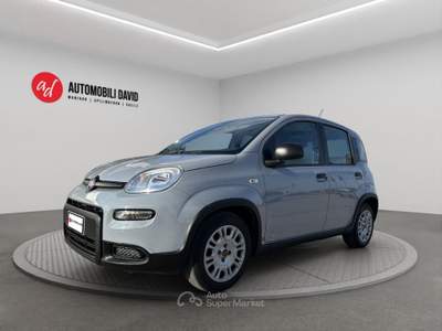 Fiat Panda 1.0 FireFly S&S Hybrid Grigio usata Maniago