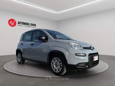 Fiat Panda 1.0 FireFly S&S Hybrid Grigio usata Maniago