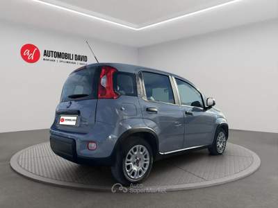 Fiat Panda 1.0 FireFly S&S Hybrid Grigio usata Maniago