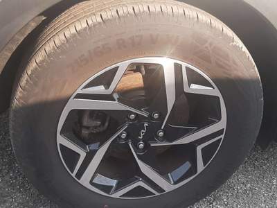 Kia Sportage Sportage V 2022 1.6 crdi mhev Business dct Grigio usata San Vendemiano
