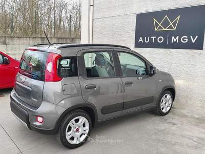 Fiat Panda Panda 1.0 firefly hybrid City Life s&s 70cv* PROMO Grigio usata La Loggia
