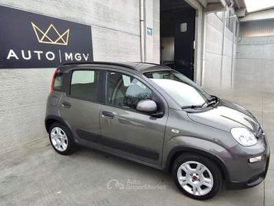 Fiat Panda Panda 1.0 firefly hybrid City Life s&s 70cv* PROMO Grigio usata La Loggia