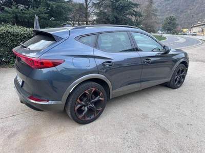 Cupra Formentor  2.0 tdi 4drive dsg Grigio usata Grezzana