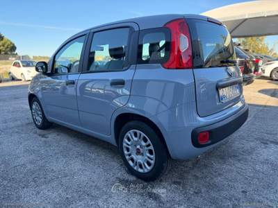 Fiat Panda Panda 1.0 FireFly S&S Hybrid Grigio usata Mesagne