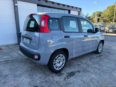 Fiat Panda Panda 1.0 FireFly S&S Hybrid Grigio usata Mesagne