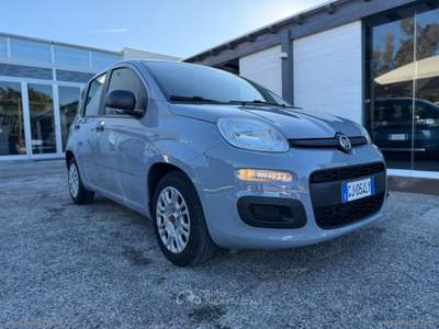 Fiat Panda Panda 1.0 FireFly S&S Hybrid Grigio usata Mesagne