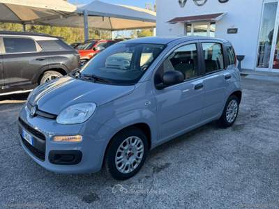 Fiat Panda Panda 1.0 FireFly S&S Hybrid Grigio usata Mesagne
