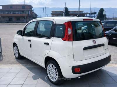 Fiat Panda FIAT PANDA ICON HYBRID NUOVA Bianco usata Montesarchio