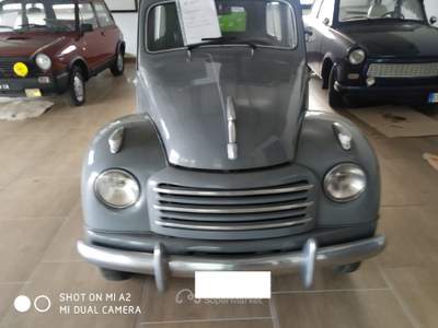Fiat Topolino FIAT 500 BELVEDERE ANNO 1952 Grigio usata SAN MARTINO VALLE CAUDINA
