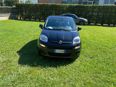 Fiat Panda 1.0 70cv hybrid gpl brc - block shaft Nero usata Fisciano