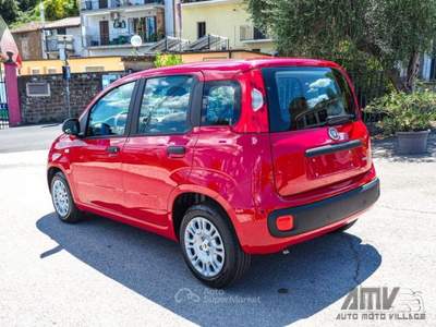 Fiat Panda 1.0 FireFly S&amp;S Hybrid PREZZO REALE Rosso usata Soriano nel Cimino