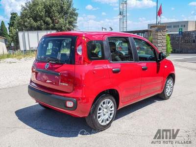 Fiat Panda 1.0 FireFly S&amp;S Hybrid PREZZO REALE Rosso usata Soriano nel Cimino