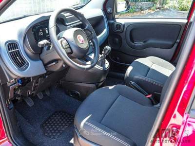 Fiat Panda 1.0 FireFly S&amp;S Hybrid PREZZO REALE Rosso usata Soriano nel Cimino