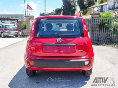 Fiat Panda 1.0 FireFly S&amp;S Hybrid PREZZO REALE Rosso usata Soriano nel Cimino