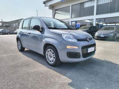 Fiat Panda 1.0 FireFly S&S Hybrid Grigio usata Alonte