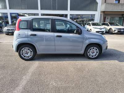 Fiat Panda 1.0 FireFly S&S Hybrid Grigio usata Alonte