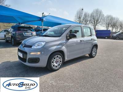 Fiat Panda 1.0 FireFly S&S Hybrid Grigio usata Alonte