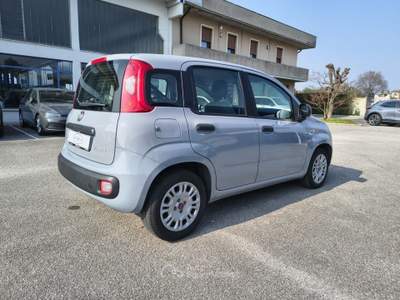 Fiat Panda 1.0 FireFly S&S Hybrid Grigio usata Alonte