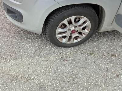 Fiat Panda Fiat Panda Grigio usata TAGLIO DI PO