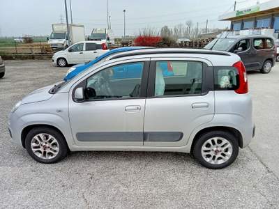Fiat Panda Fiat Panda Grigio usata TAGLIO DI PO