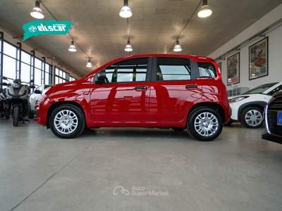 Fiat Panda 1.0 FireFly S&S Hybrid Icon Rosso usata Sona