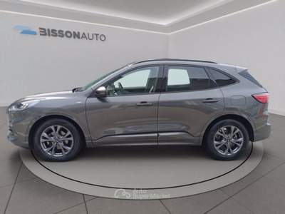 Ford Kuga 1.5 ecoblue ST-Line 2wd 120cv Grigio usata Grumolo delle Abbadesse