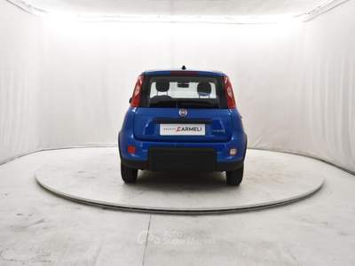 Fiat Panda 1.0 FireFly Hybrid Blu/Azzurro usata Coccaglio