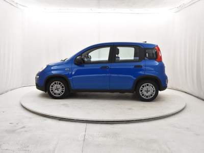 Fiat Panda 1.0 FireFly Hybrid Blu/Azzurro usata Coccaglio