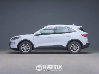 Ford Kuga kuga 1.5 ecoblue titanium business 2wd 120cv auto Bianco usata Barzago