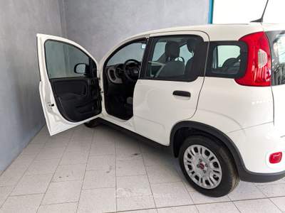 Fiat Panda Panda - 1.0 Hybrid 70cv - City Life Bianco usata Robecco sul Naviglio