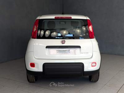 Fiat Panda Panda - 1.0 Hybrid 70cv - City Life Bianco usata Robecco sul Naviglio