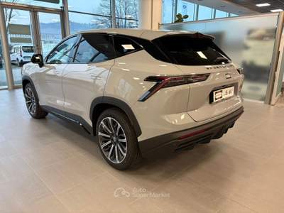 Sportequipe 6 Sportequipe 6 GT 1.6 T-GDI DCT GPL Grigio usata Alba