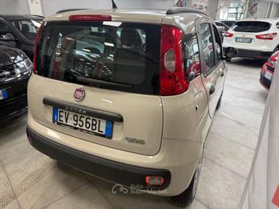 Fiat Panda Turbo Natural Power Lounge 80CV Beige usata Prato