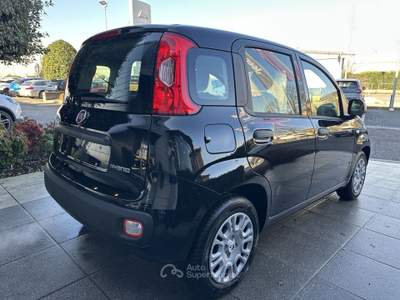 Fiat Panda Panda 1.0 FireFly S&S Hybrid *PROMO AZZURRA* Nero usata Suzzara