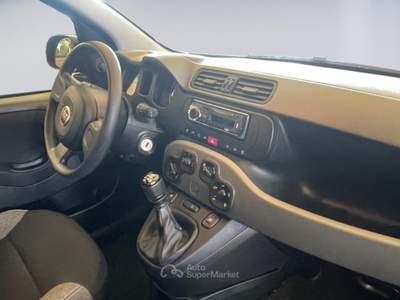Fiat Panda 1.0 FireFly 70cv S&S Hybrid City Life Grigio usata MONOPOLI