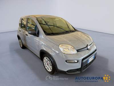 Fiat Panda 1.0 FireFly 70cv S&S Hybrid City Life Grigio usata MONOPOLI