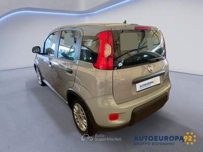 Fiat Panda 1.0 FireFly 70cv S&S Hybrid City Life Grigio usata MONOPOLI
