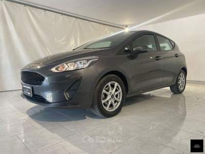 Ford Fiesta 1.1 75 CV GPL 5p. Titanium Grigio usata San Giuseppe Vesuviano